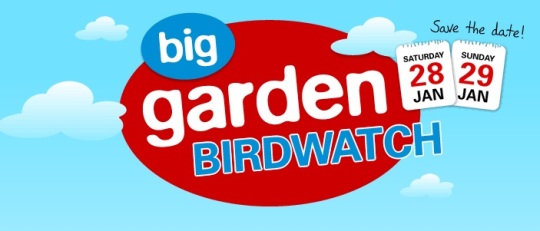 Free Big Garden Birdwatch Pack @ RSPB