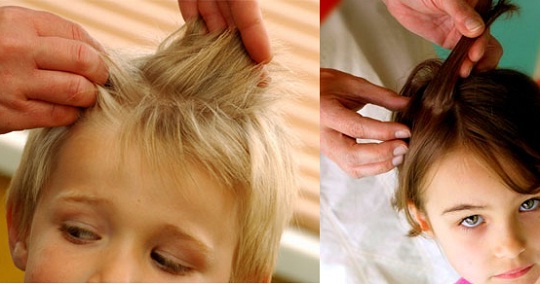 Best Buys For Beating Head Lice