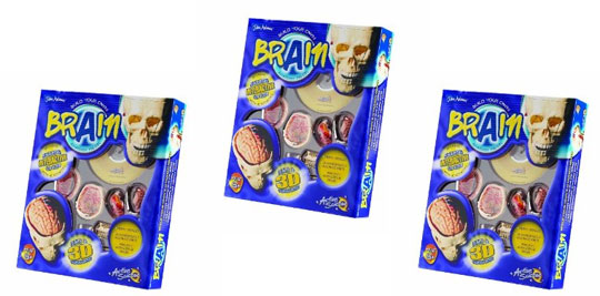 Brain Anatomy Model With Interactive CD £5.59 @ Amazon Brain Anatomy Model With Interactive CD £5.59 @ Amazon