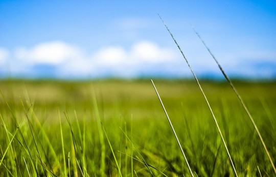 Create A Camping Adventure On A Budget