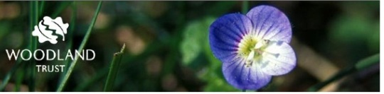Kids Freebie: Free Activity Packs @ The Woodland Trust