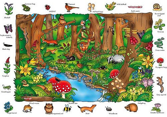 Where In The Wood? 150-Piece Orchard Toys Jigsaw Puzzle &pound;5.32 @ Amazon