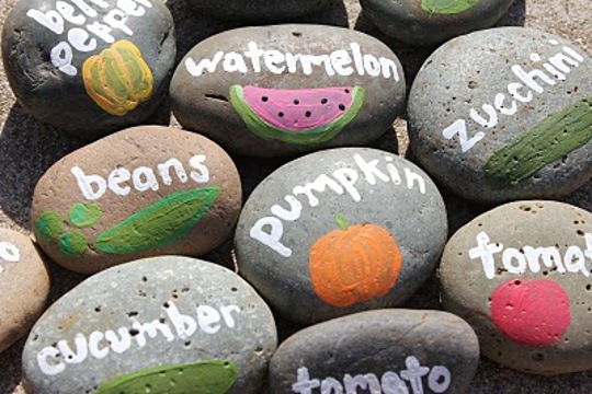 How To Label Your Veggie Patch How To Label Your Veggie Patch