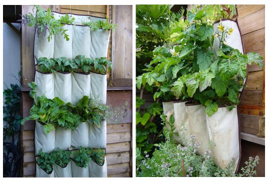 Shoe Bag Herb Garden
