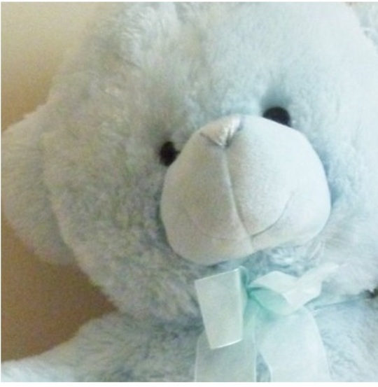 CuddlesTime 18&rdquo; Bear &pound;5.99 @ Mail Order Express