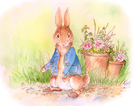 The World Of Peter Rabbit Book Collection (23 Books) &pound;23 @ Play