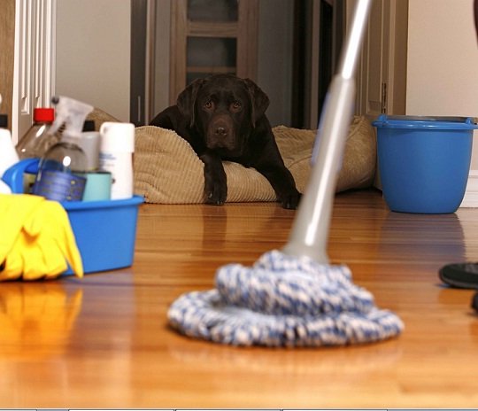 Five Top Cleaning And Money Saving Tips