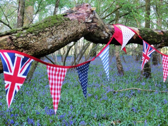 Top Tips To Enjoy The Jubilee Weekend!
