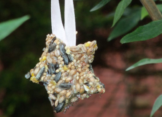 Workshop Wednesday: Making Birdseed Feeders