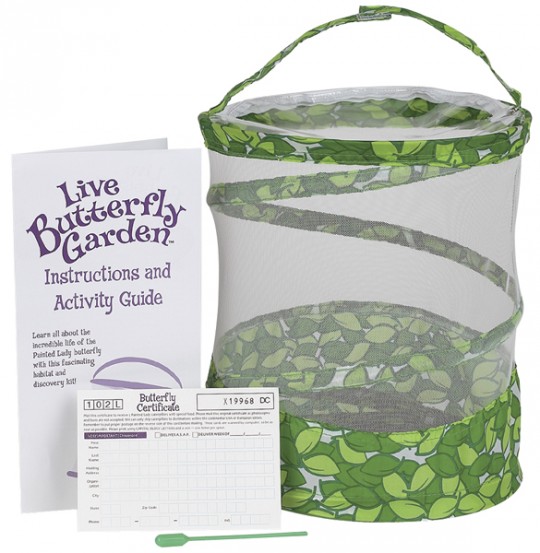 Insect Lore Live Butterfly Garden &pound;8.99 @ Play.com