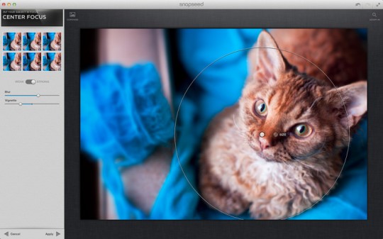 Snapseed For The iPhone Free @ iTunes