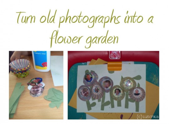 Workshop Wednesday: Photograph Flower Garden