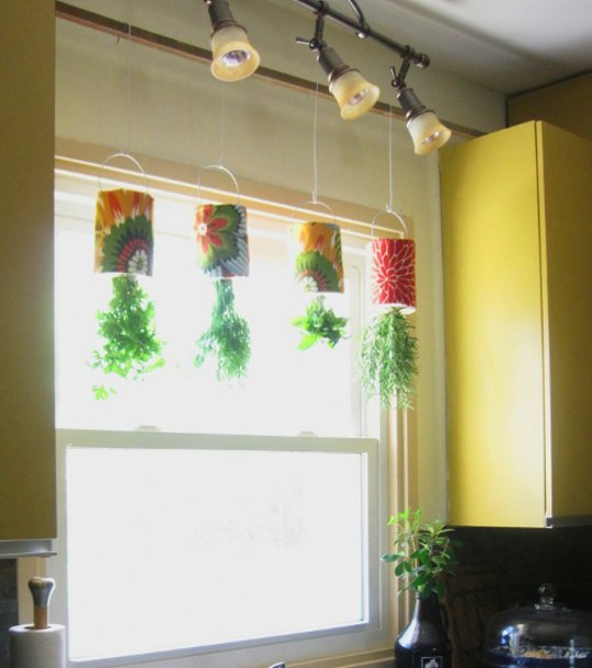 Hanging Indoor Herb Garden