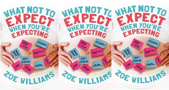 What Not To Expect When You’re Expecting Review What Not To Expect When You’re Expecting Review