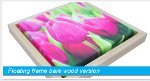 Hello Canvas Photo Canvas Review