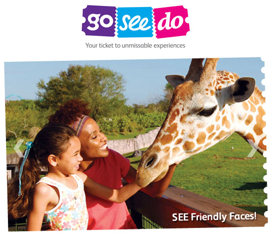 Need Summer Holiday Activity Ideas? Visit GoSeeDo.com