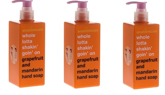 Anatomicals Bold Hand Soap Review Anatomicals Bold Hand Soap Review