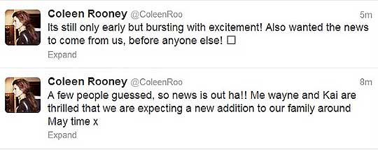 Celebaby: A New Rooney Baby On The Way