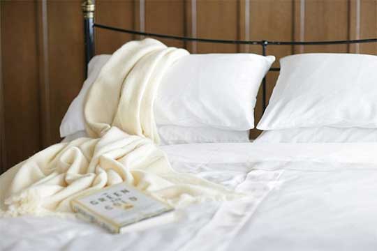 Free Competitions: Luxury Organic Bedding Set, Giant Andrex Puppy Free Competitions: Luxury Organic Bedding Set, Giant Andrex Puppy