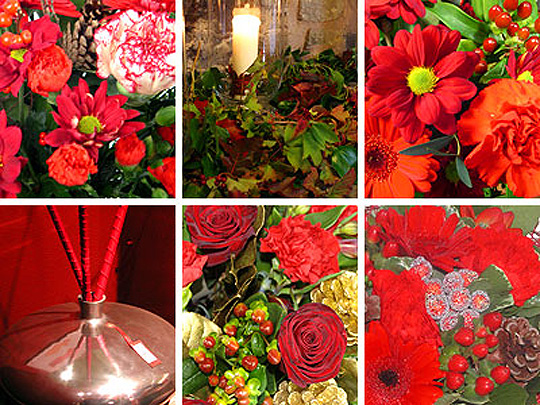 Free Competitions: Win Festive Flowers For Christmas