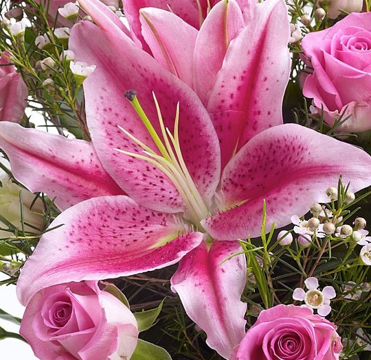 Interflora Promotional Code: 5% Off
