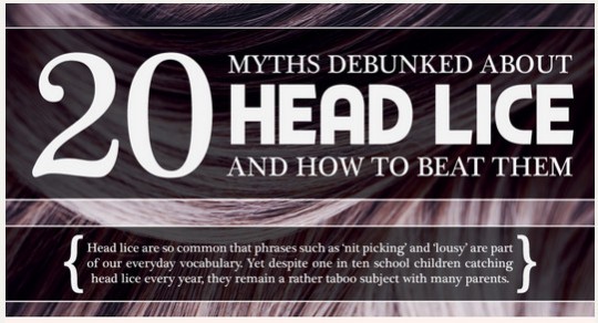 Head Lice Myths And Treatment