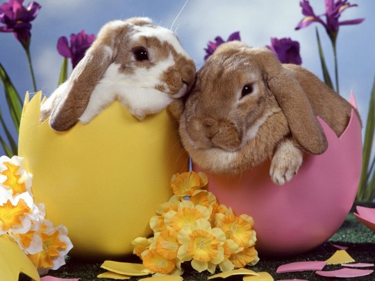 The Easter Family Fun Guide The Easter Family Fun Guide