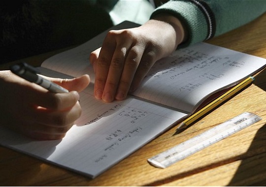 Free And Easy Ways To Help Grow A Maths Genius