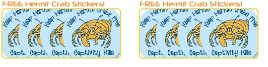 Kids Freebie: Free Crab Stickers @ PETA Kids