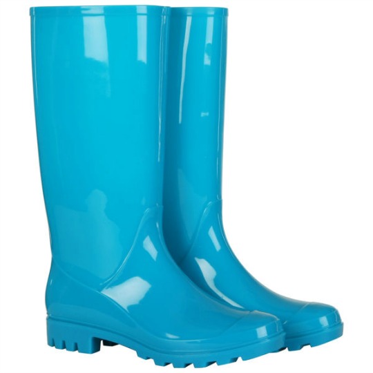Fame and Fortune Women's Welly Boots £4.99 @ Zavvi.com Fame and Fortune Women's Welly Boots £4.99 @ Zavvi.com