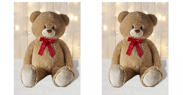 teddy bear robe dunelm