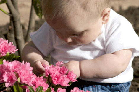 garden baby