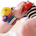 rattle