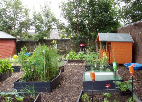 Allotments 2