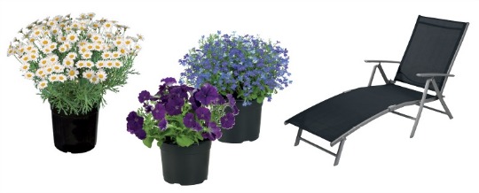 Garden Furniture Flowers Lidl From Thurs 16th April