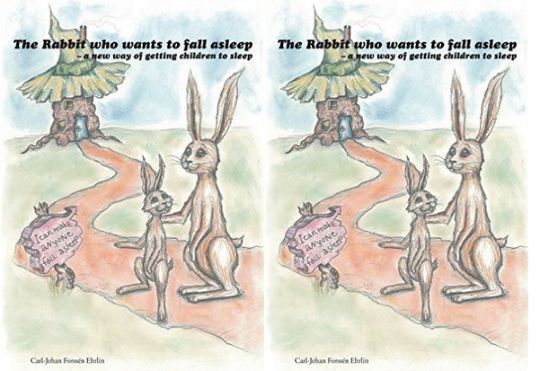 Rabbit Book