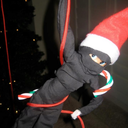Elf on the Shelf ideas