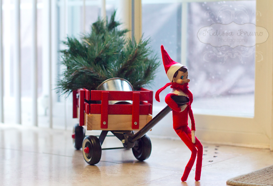 Elf on the Shelf ideas