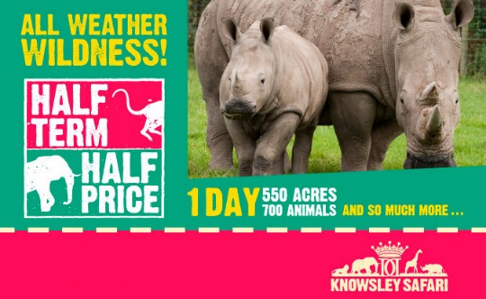 knowsley safari park pm
