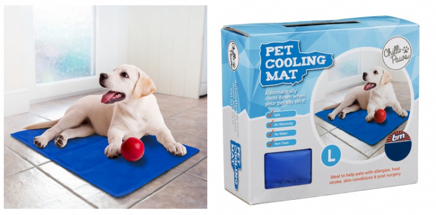 Essentials For Keeping Your Pet Cool This Summer From Only 2.49 B M