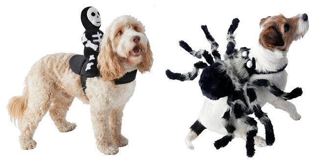 Pet Halloween Costumes from B&M