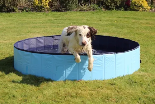 Rosewood Cool Down Foldable Dog Pool from Pets at Home