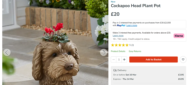 Screenshot showing Cockapoo Head Plant Pot £20 at Dunelm
