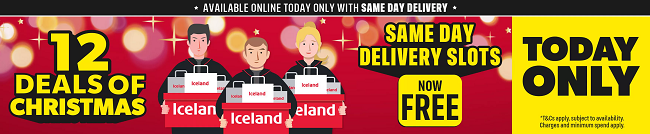 Screenshot showing Free Same Day Delivery Slots offer at Iceland
