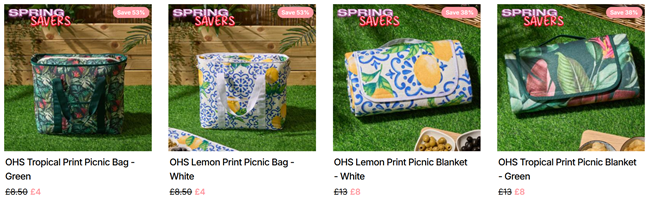 Screenshot showing Tropical or Lemon Picnic Bags and Picnic Blankets at Online Home Shop