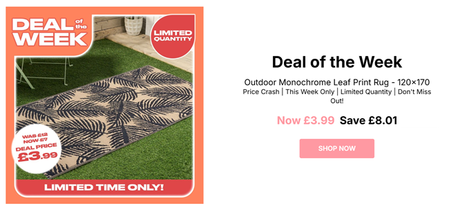 Screenshot showing Outdoor Monochrome Leaf Print Rug for £3.99 at Online Home Shop
