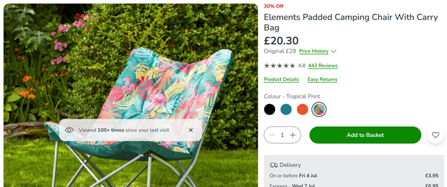Screenshot showing Elements Padded Camping Chair With Carry Bag for £20.30 at Dunelm