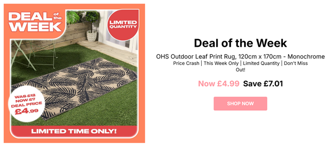 Screenshot showing OHS Outdoor Leaf Print Rug 120cm x 170cm Monochrome for £4.99 at Online Home Shop