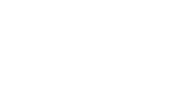 Skinny Tan logo