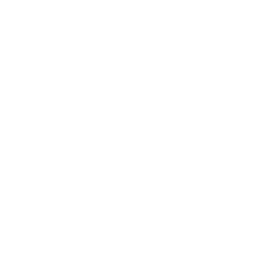 logo Body Shop logo
